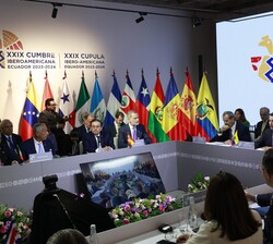 El Rey en un momento de la sesión en el Plenario