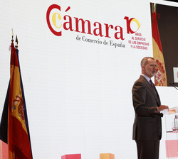 Su Majestad el Rey durante su discurso en el pleno extraordinario de la Cámara de Comercio de España