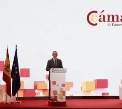El Rey durante su discurso en el pleno extraordinario de la Cámara de Comercio de España