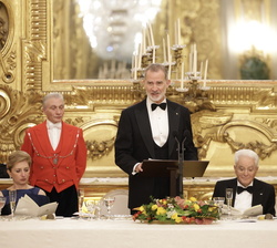 Su Majestad el Rey durante su intervención en la cena de gala ofrecida por el Presidente de la República Italiana en honor de Sus Majestades los Reyes
