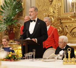 Su Majestad el Rey durante su intervención en la cena de gala ofrecida por el Presidente de la República Italiana en honor de Sus Majestades los Reyes