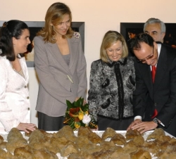Doña Cristina observa al presidente de la Fundación ONCE examinar una obra basada en la percepción por el tacto