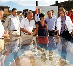 La Reina, acompañada por el presidente del Gobierno canario, Paulino Rivero, y la delegada del Gobierno en Canarias, Carolina Darias, atiende a las ex