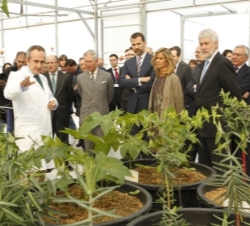 El Príncipe de Asturias, el Príncipe de Gales y la ministra de Ciencia e Innovación durante el recorrido por el Centro de Repsol-YPF
