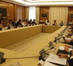 Vista general de la reunión del Consejo del Real Patronato sobre Discapacidad