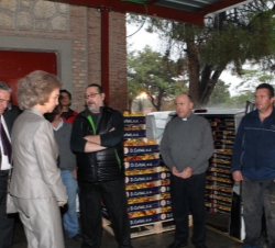 Visita a las instalaciones de la Fundación Banco de Alimentos de Madrid. La Reina conversa con los voluntarios que colaboran con Banco de Alimentos