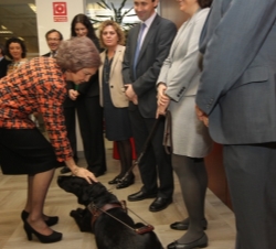 Doña Sofía acaricia a un perro guía a su llegada a la agencia de noticias Servimedia