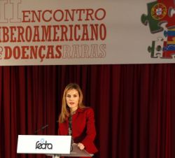 Su Majestad la Reina, durante su intervención en la clausura del II Congreso Iberoamericano de Enfermedades Raras.