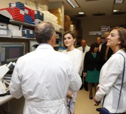 La Reina, con el Dr. Helman y la secretaria de Estado de Investigación, Desarrollo e Innovación, Carmen Vela