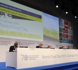 Vista general de la mesa presidencial del "Día Mundial de la Alimentación 2015"