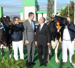 Su Majestad el Rey con el miembro del Consejo de Administración y Medalla de Asturias 2014, José Ramón Badiola, junto a las vacas premiadas