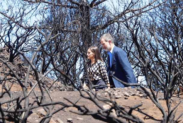 Don Felipe y Doña Letizia durante su recorrido por las zonas más afectadas por los incendios 