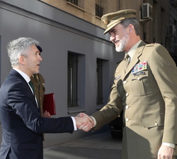 Su Majestad el Rey recibe el saludo de Fernando Grande-Marlaska, ministro del Interior en funciones