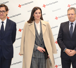 Doña Letizia junto al ministro de Sanidad, Salvador Illa y el presidente de Cruz Roja Española, Javier Senent