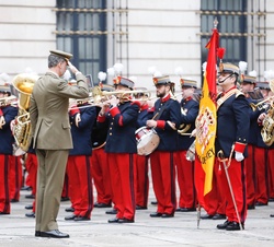 Su Majestad el Rey durante la revista a las tropas saluda a la enseña nacional