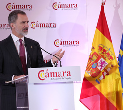 Su Majestad el Rey durante su intervención en el Pleno de la Cámara de Comercio de España