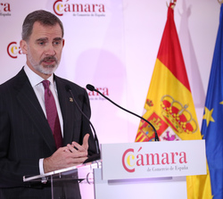 Su Majestad el Rey se dirige a los asistentes al Pleno de la Cámara de Comercio de España