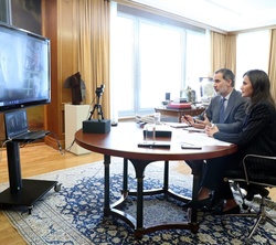Sus Majestades los Reyes mantienen una videoconferencia con representantes de Cáritas