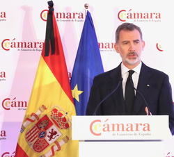 Su Majestad el Rey durante su intervención en la reunión del pleno extraordinario de la Cámara de Comercio de España