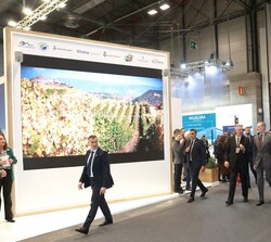 Sus Majestades los Reyes durante su recorrido por FITUR