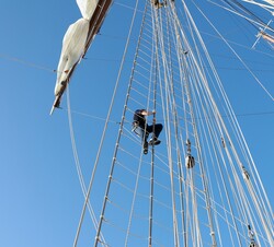S.A.R. la Princesa de Asturias durante la subida a palos en la travesía en el Buque Escuela Juan Sebastián de Elcano