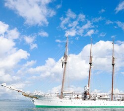 El Buque Escuela Juan Sebastián de Elcano a su llegada al puerto de Salvador de Bahía