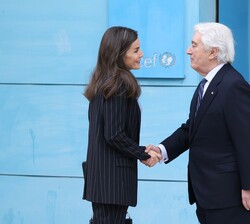 Su Majestad la Reina recibe el saludo del Presidente de UNICEF España