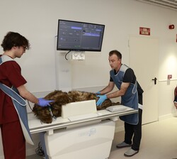 El Rey comtempla los procedimientos en el Hospital Clínico Veterinario