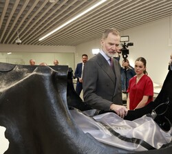 Recorrido del Rey en la sala de Prácticas clínicas