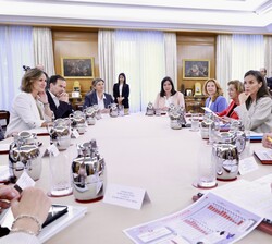 Doña Letizia durante la reunión