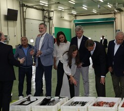 Don Felipe y Doña Letizia durante el simulacro de subasta de pescado
