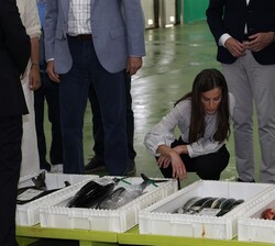 Doña Letizia examina el pescado durante el simulacro de subasta