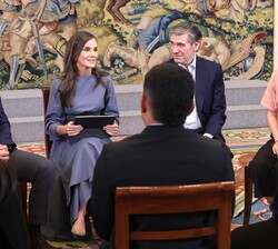 Su Majestad la Reina durante la audiencia a una representación de la Fundación Microfinanzas BBVA