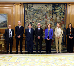 La Reina Sofía junto a miembros de la delegación de la Asociación Visión y Vida durante la audiencia