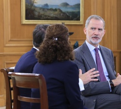 Su Majestad el Rey durante la audiencia a una representación de Philips Ibérica