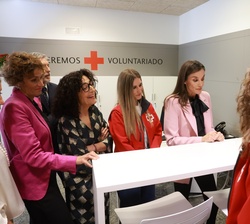 Doña Letizia junto a autoridades y personal del Centro durante la videollamada