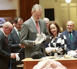 El Rey recibe explicaciones sobre las colecciones paleontológicas y mineralógicas del museo