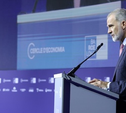 Su Majestad el Rey durante su intervención