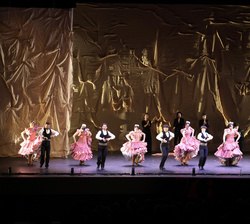 Actuación del Ballet Flamenco de Andalucía durante la gala