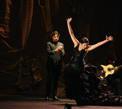 Desarrollo de la gala flamenca en el marco del Festival de Granada