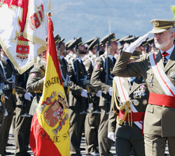 Su Majestad el Rey durante la revista a la Fuerza