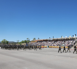Su Majestad el Rey en la Tribuna Real durante el desfile de los nuevos suboficiales del Ejército de Tierra