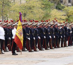 Don Felipe saludando a la Bandera Nacional durante la revista a las tropas.