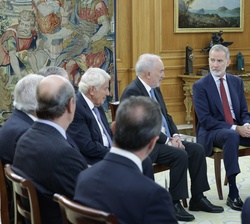 Su Majestad el Rey durante la audiencia