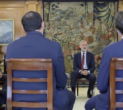 Don Felipe en la audiencia a los representantes de la Plataforma EsTech