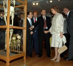 Don Juan Carlos y Doña Sofía reciben explicaciones de la exposición