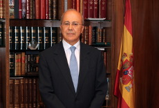 D. Domingo  Martínez Palomo